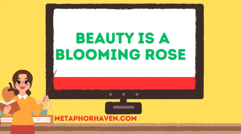 Beauty is a Blooming Rose