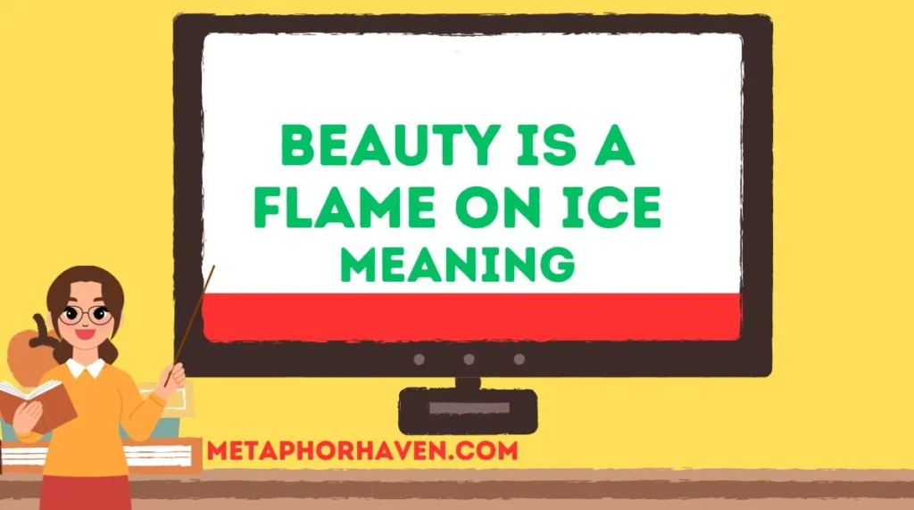 Beauty is a Blooming Rose