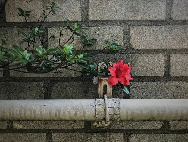 Read more about the article Hidden Plumbing Problems Melbourne Homeowners Shouldn’t Ignore