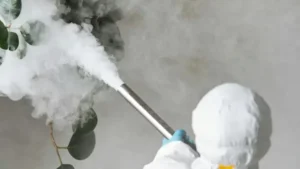 Read more about the article Simple Summer Habits That Help Prevent Pest Problems