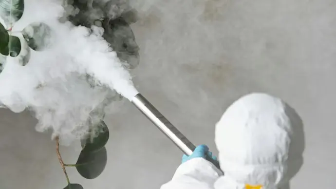 Read more about the article Simple Summer Habits That Help Prevent Pest Problems