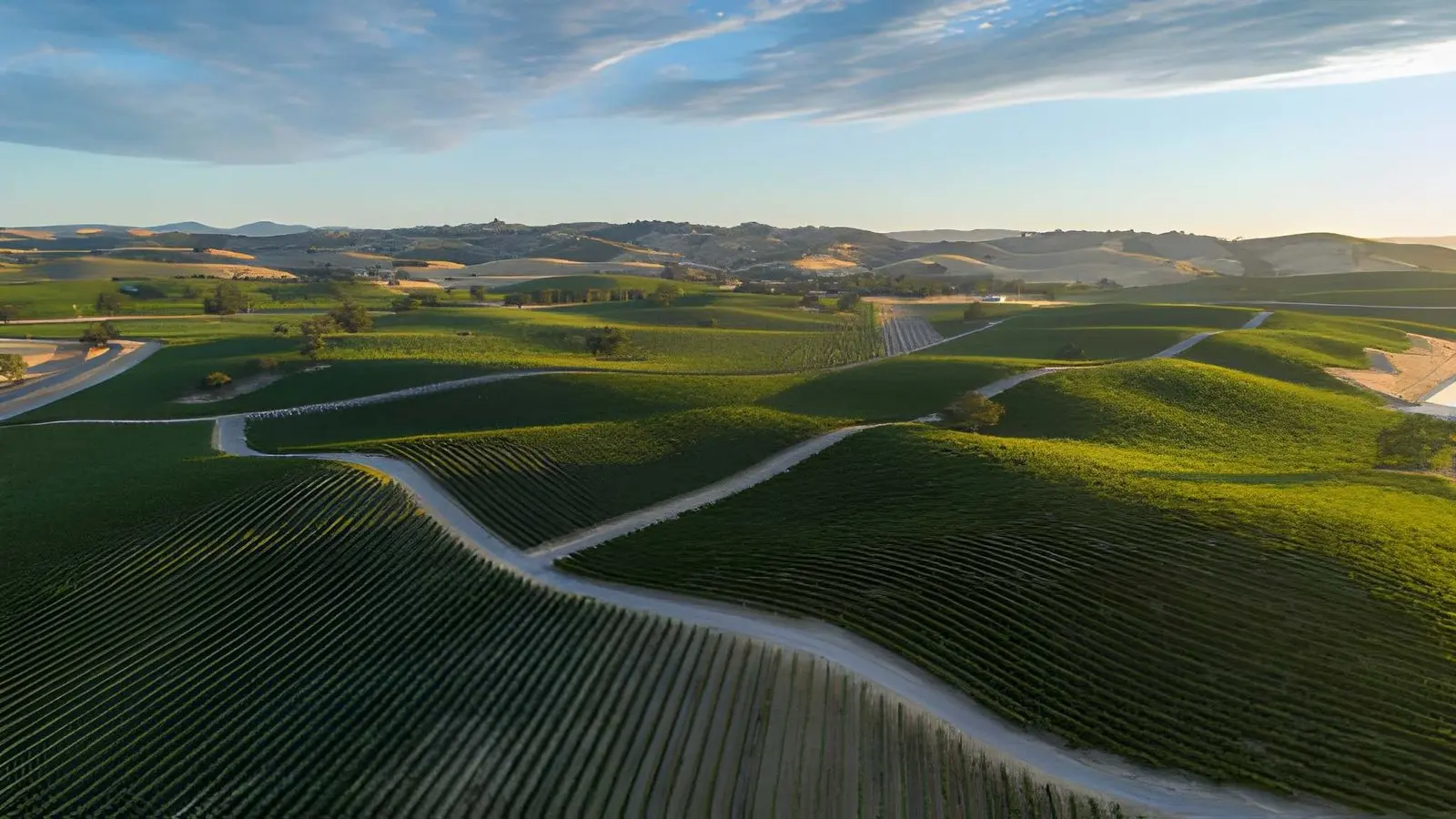 Read more about the article How Linne Calodo Became a Paso Robles Wine Favorite