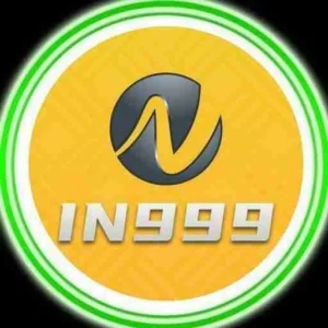 Read more about the article IN999 Platform Insights for New Members