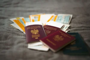 Read more about the article ENS 186 Visa: What You Need to Know
