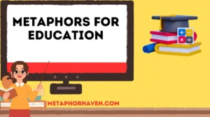 Read more about the article Metaphors for Education: 30+ Creative Ways to Describe Learning