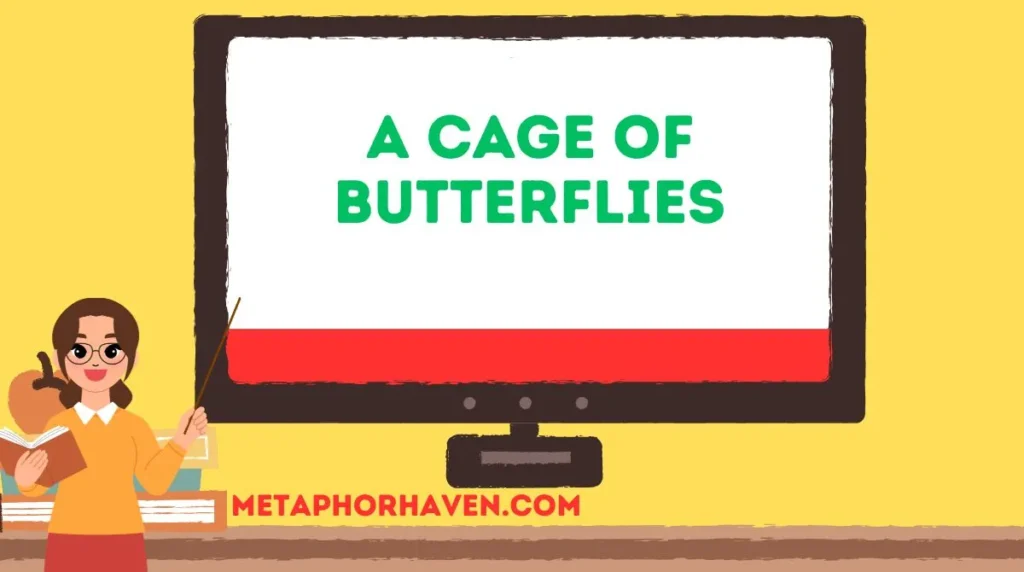 A Cage of Butterflies