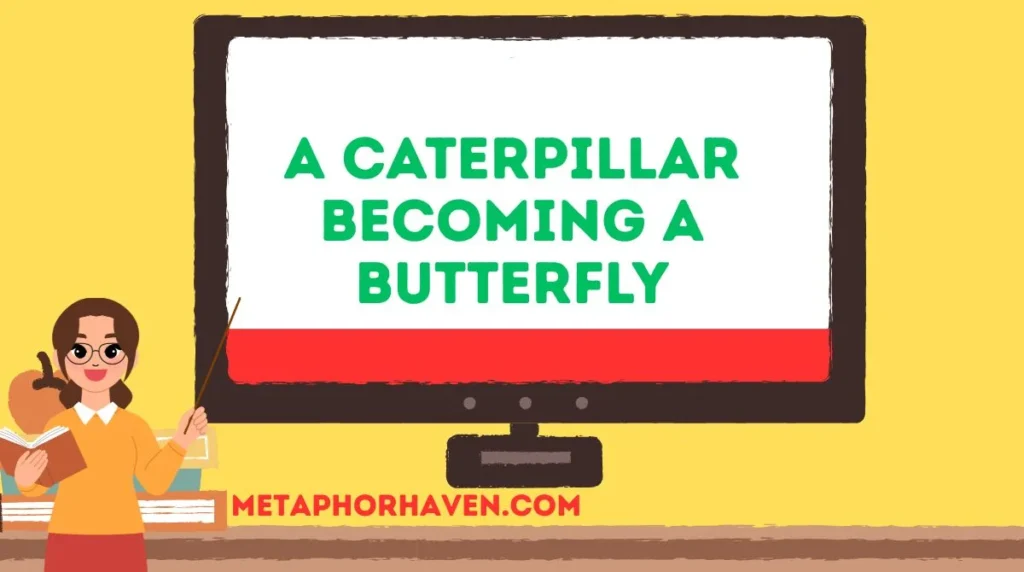 A Caterpillar Becoming a Butterfly