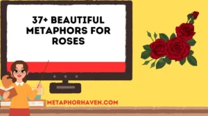 Read more about the article 37+ Beautiful Metaphors for Roses (With Meanings, Examples, and Reflections)