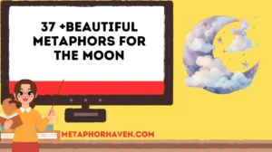 Read more about the article 37 +Beautiful Metaphors for the Moon (With Meanings & Examples)