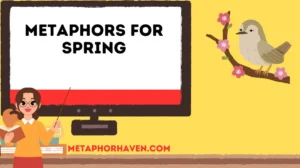 Read more about the article Metaphors for Spring: 25 +Creative Expressions to Capture the Season of Renewal