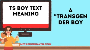 Read more about the article 📱 TS Boy Text Meaning: What Does It Really Mean?