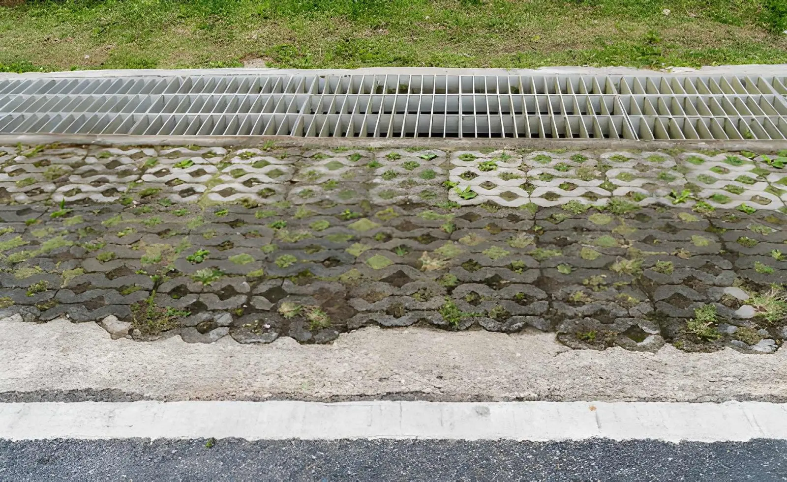 Read more about the article How Drainage Design Problems Can Create Ongoing Trouble for Exterior Surfaces