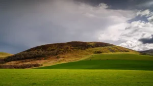 Read more about the article Why Breckie Hill and Sydney Sweeney Continue to Capture Attention in 2026