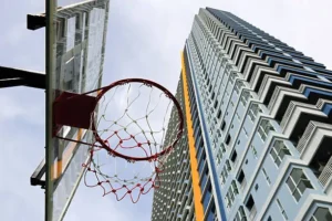 Read more about the article A Basketball Lover’s Dream Apartment, Design Ideas That Actually Work