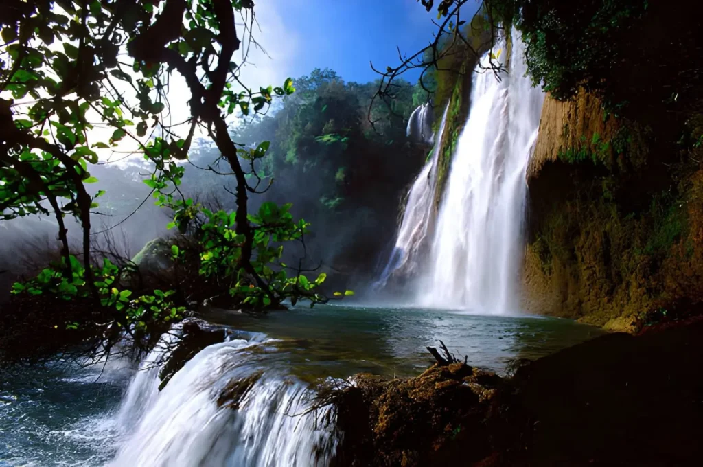 Finding Balance in a Fast-Paced World