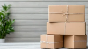 Read more about the article Delivery to Germany During Peak Seasons: How to Plan Ahead