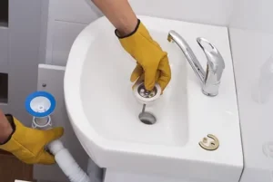 Read more about the article Essential Drain Maintenance Tips for a Healthy Home