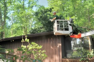 Read more about the article Key Problems Roofers in Maryland Find After Severe Storm