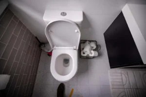 Read more about the article Common Causes and Solutions for a Blocked Toilet in Sydney