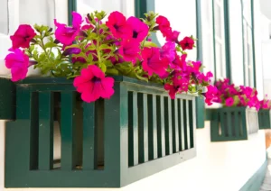 Read more about the article Garden Windows: Enhancing Your Home with Light, Freshness, and Style