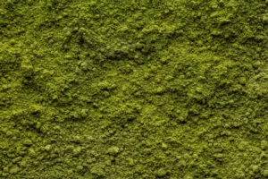 Read more about the article Searching For “Kratom Store Near Me?” Reviews State Why Oasis Kratom Is The Best Bet