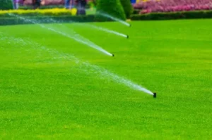 Read more about the article Smart Watering Solutions for Lawns and Gardens in Ottawa County, Ohio: A Comprehensive Guide