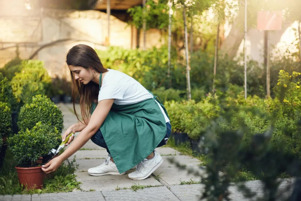 Landscape Care Tips for Homeowners to Enhance Lawn Beauty 